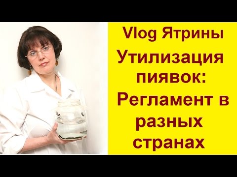 Как утилизировать пиявок в домашних условиях