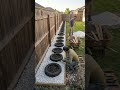 Backyard Fence Line Makeover: Simple Strip Turned Into Elegant Flower Bed