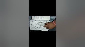 the portrait of a lady project class 11th