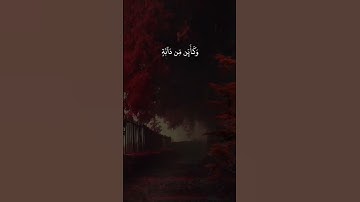 سورة العنكبوت الاية:(٥٩-٦٠)