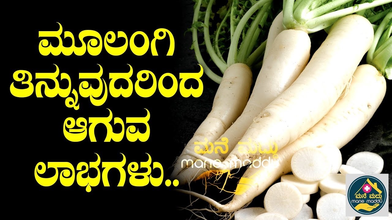 ಮೂಲಂಗಿ ತಿನ್ನುವುದರಿಂದ ಆಗುವ ಲಾಭಗಳು Surprising Benifits Of Radish In