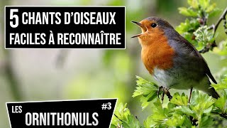 5 CHANTS D'OISEAUX FACILES A RECONNAITRE - LES ORNITHONULS #3