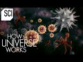 The Invisible Microcosmos | How the Universe Works