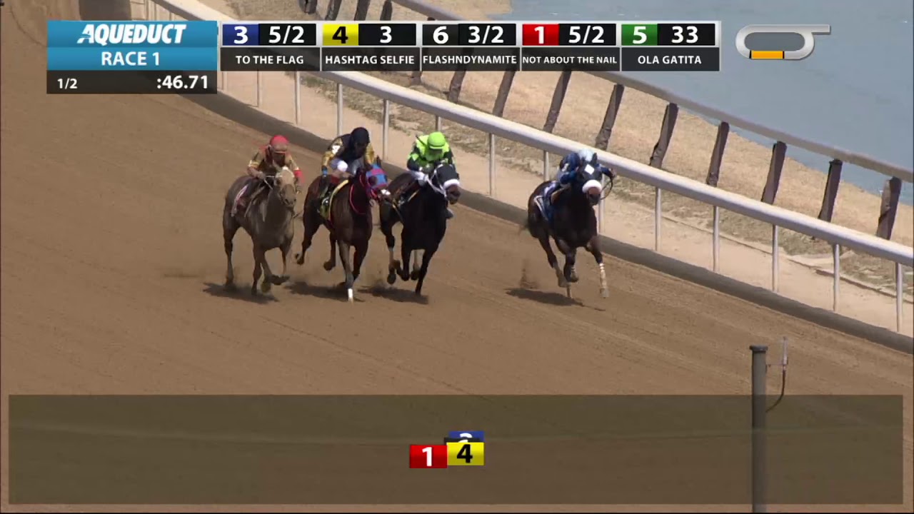 horse racing news Not About the Nail - 2019 - The Belle Gallantey Stakes