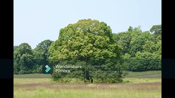 David Gordon - String Quartet No. 7 in D-Flat Major: I. Allegretto espressivo