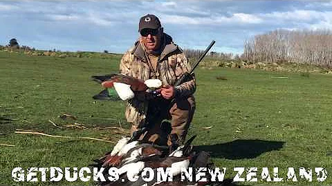 NEW ZEALAND DUCK HUNTING GetDucks.com