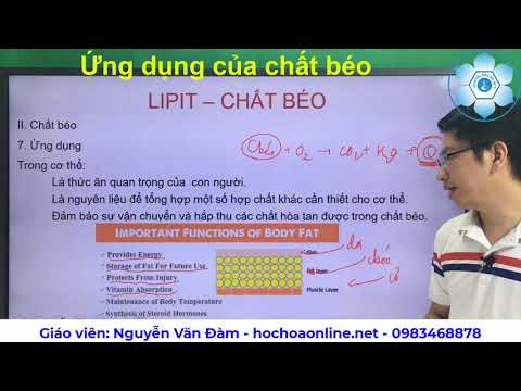 Video: Gohar Avetisyan Cho Thấy Cô ấy Trông Như Thế Nào Trước Khi Làm Thủ Thuật Loại Bỏ Chất Béo