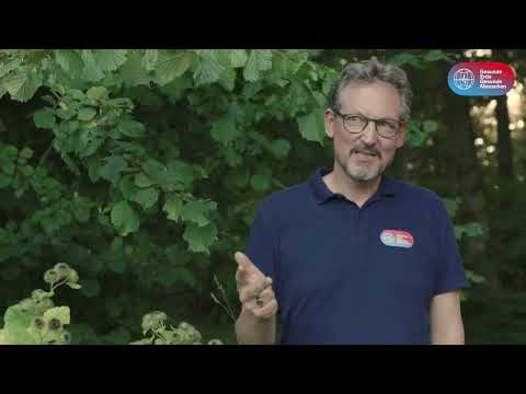 Hier versteckt sich das Rezept für über 50 % unserer Arzneimittel.