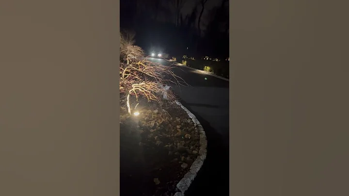 Aleena’s Z4 M coupe