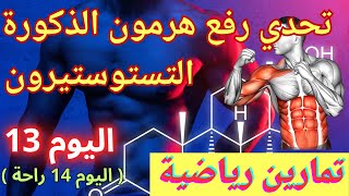 تحدي رفع هرمون الذكورة تستوستيرون 100/100 بهاته التمارين (اليوم الثالت عشر) (اليوم 14 راحة)