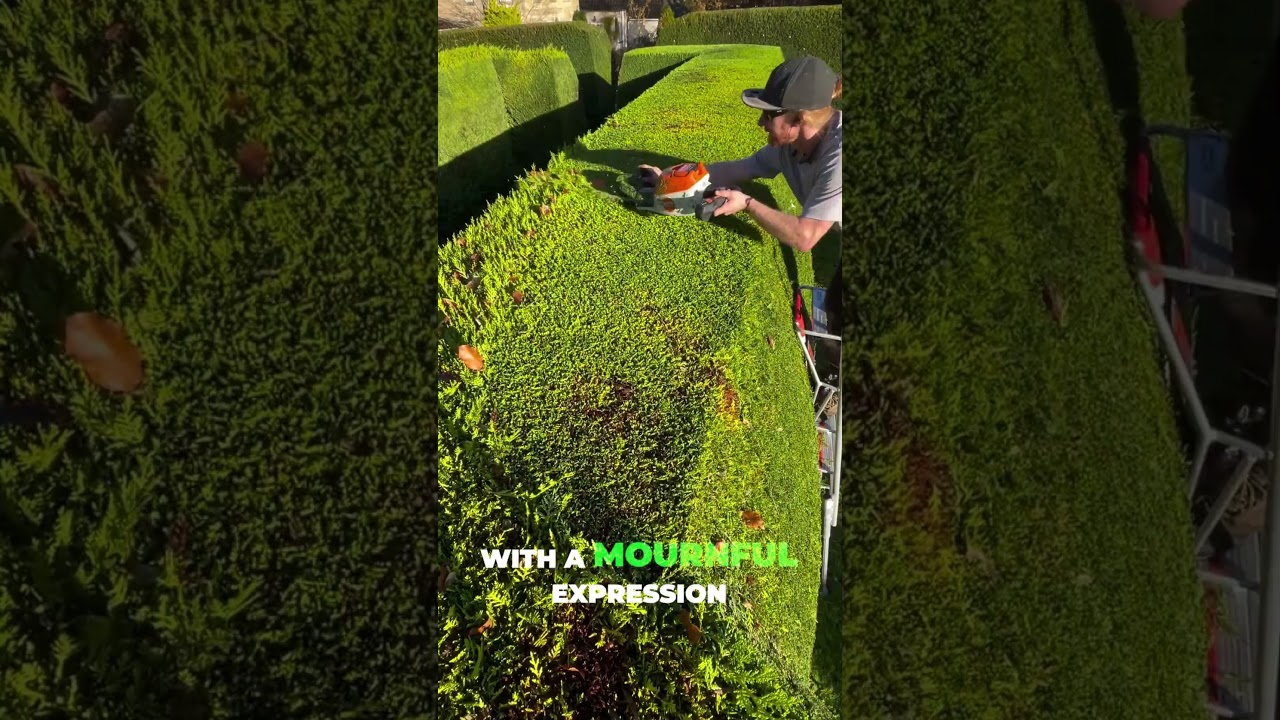 Увлекательная работа в саду 🌳 