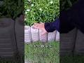 お金をかけずに花壇の境界を作る驚きの方法