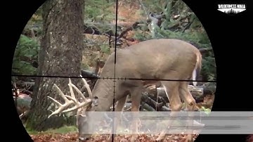 The Smartphone Scope Mount