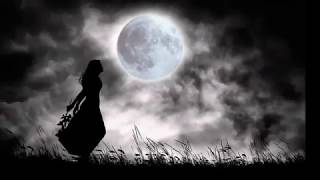 Someone Should Tell Her - Lyric Video - Warren Friesen