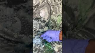 9 Elements use in this mixture #detergentformula #asmrlaundry #cleaningmotivation #powder play Wealth