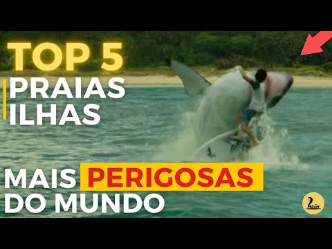 Vídeo: As Praias De Um Mundo Sem Tubarões