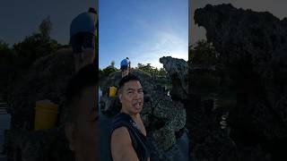 Download Lagu #viralshort #hoogtepunten #viralevideo's #hoogtepunteniedereen MP3