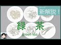 【ざっくり解説】中国緑茶は日本の緑茶とどこが違う？いれ方・飲み方も徹底解説！