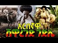 አርበኛ ሸዋረገድ ገድሌ Shewareged Gedle በጣልያኖች የሞት ፍርድ የተፈረደባቸው ለኢትዮጵያ ነፃነት ሲሉ በተደጋጋሚ የታሰሩ ጀግና አስገራሚ ታሪክ
