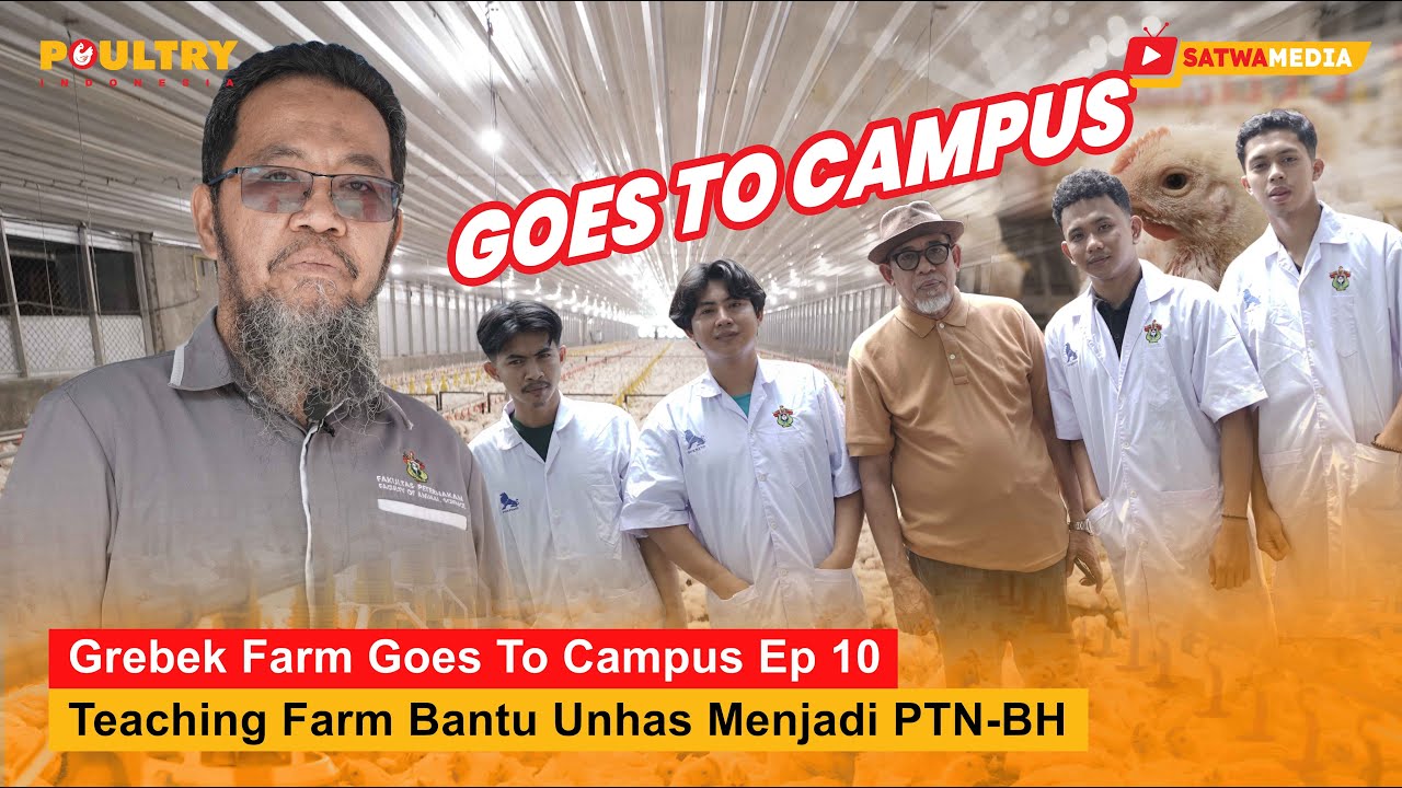 Grebek Farm Goes to Campus Ep.10  Dari Profit Kandang Hibah, Unhas Bisa Buka Kandang Lagi!