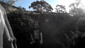 Timmehtek XXX - cateye hybrids - long repeating combo | Tech poi