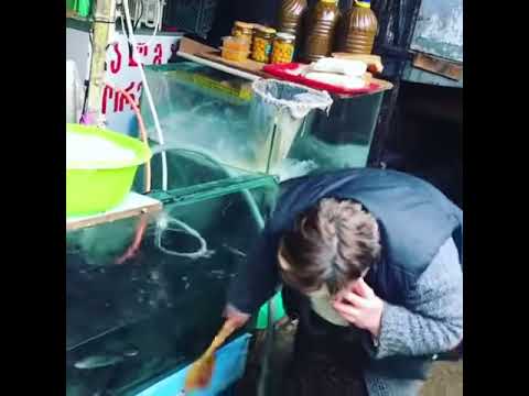 დეზერტირების ბაზარი , ცოცხალი პროდუქტის მოვლის კულტურა საქართველოში