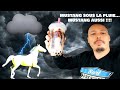 Socal frenchiez tv vlog 178 expertise mustang 645 import socalfrenchiez