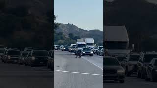 Bear Halts Traffic on California Highway