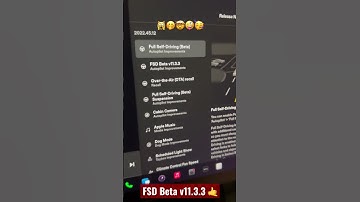 Got FSD Beta V11.3.3 🥳🤙 #automobile #fsdbeta #car #autonomousdriving #autonomouscar #Tesla #ModelY