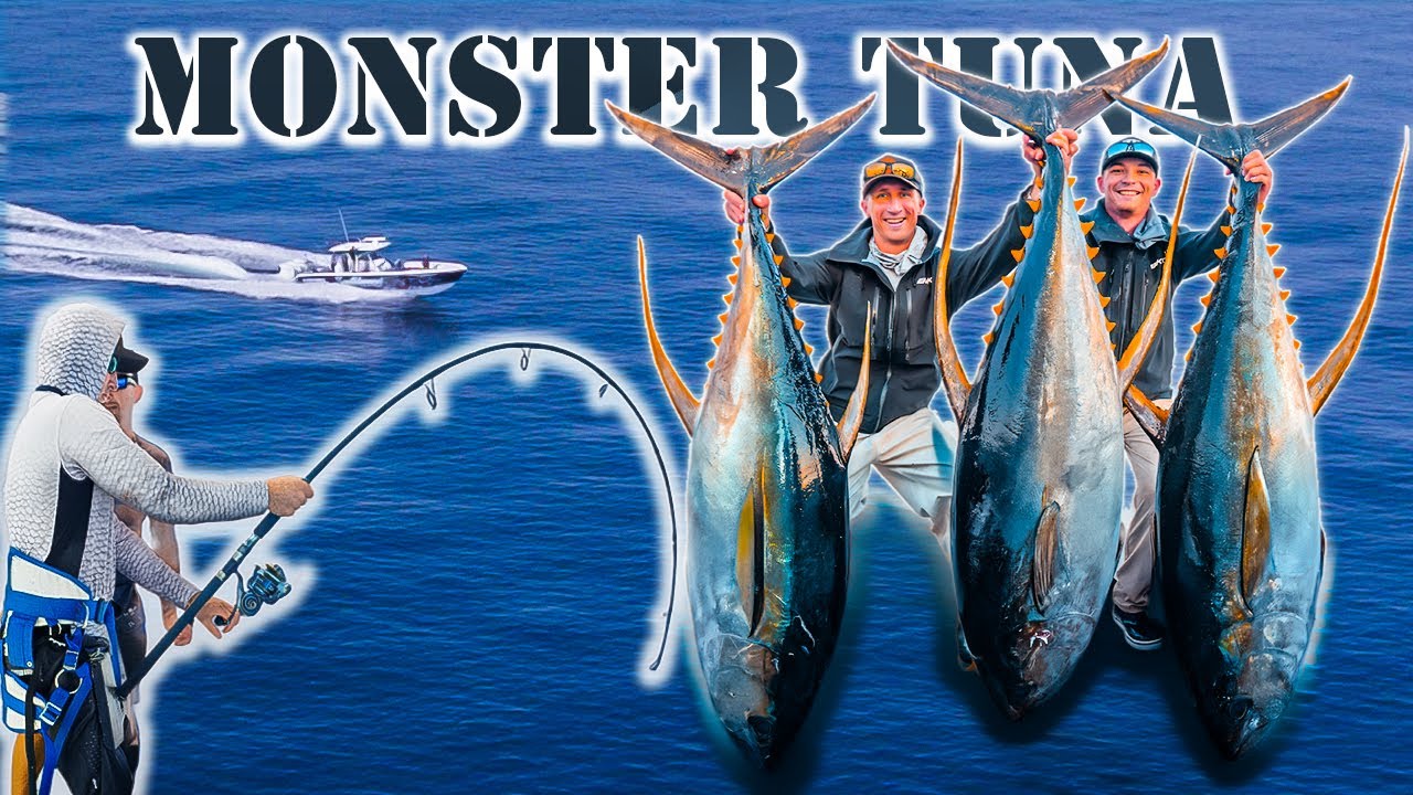 В погоне за самым большим тунцом во Флориде! {Нас затянуло...}