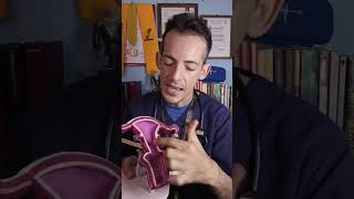 Endometrio Rebelde: Descifrando la Reacción Residual | Dr Luigi Mancini Medico Cirujano