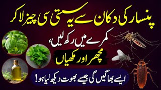 These Vegetables, Herbs And Plants Are Natural Ways To Get Rid Of Mosquitoes And Flies In Your Home