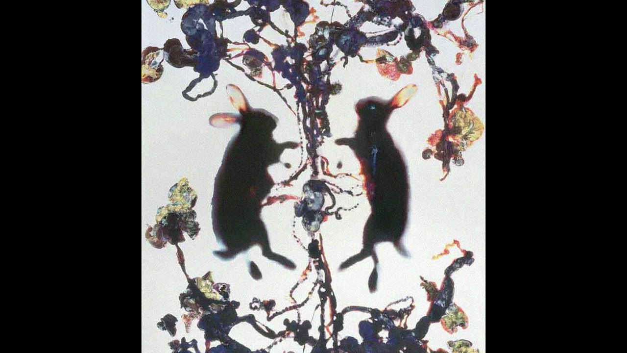 {FREE} STEVE LACY X RAVYN LENAE TYPE BEAT 