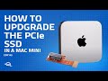 How to Upgrade/Replace the PCIe SSD in a 2014 Mac mini (Macmini7,1)