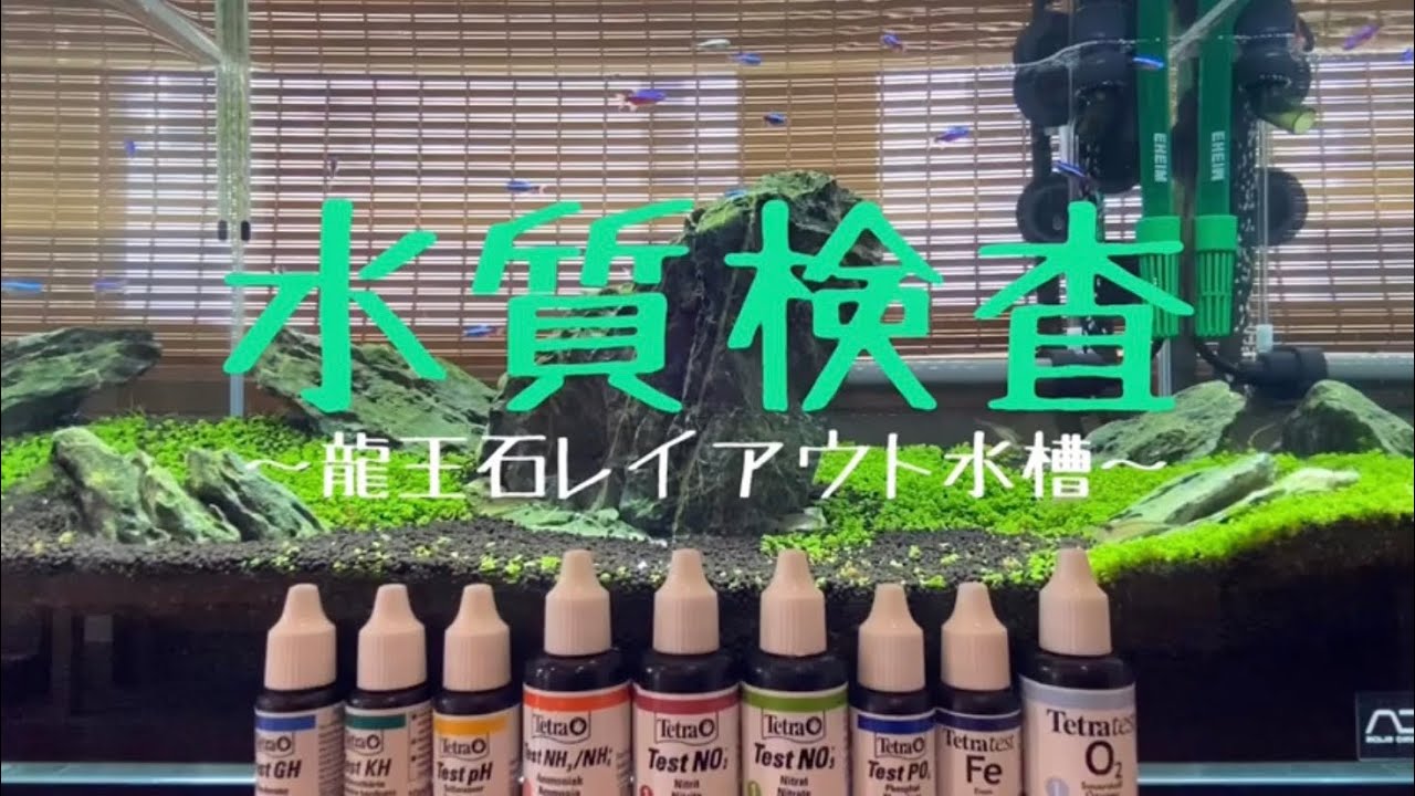 水質検査 龍王石レイアウト水槽 アクアリウム Youtube