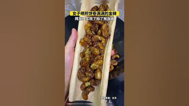 女子晒煎饼卷满满的金蝉，网友：实现了知了猴自由 - 天天要闻