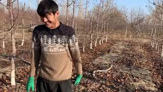 картинка: Интенсивный  бак