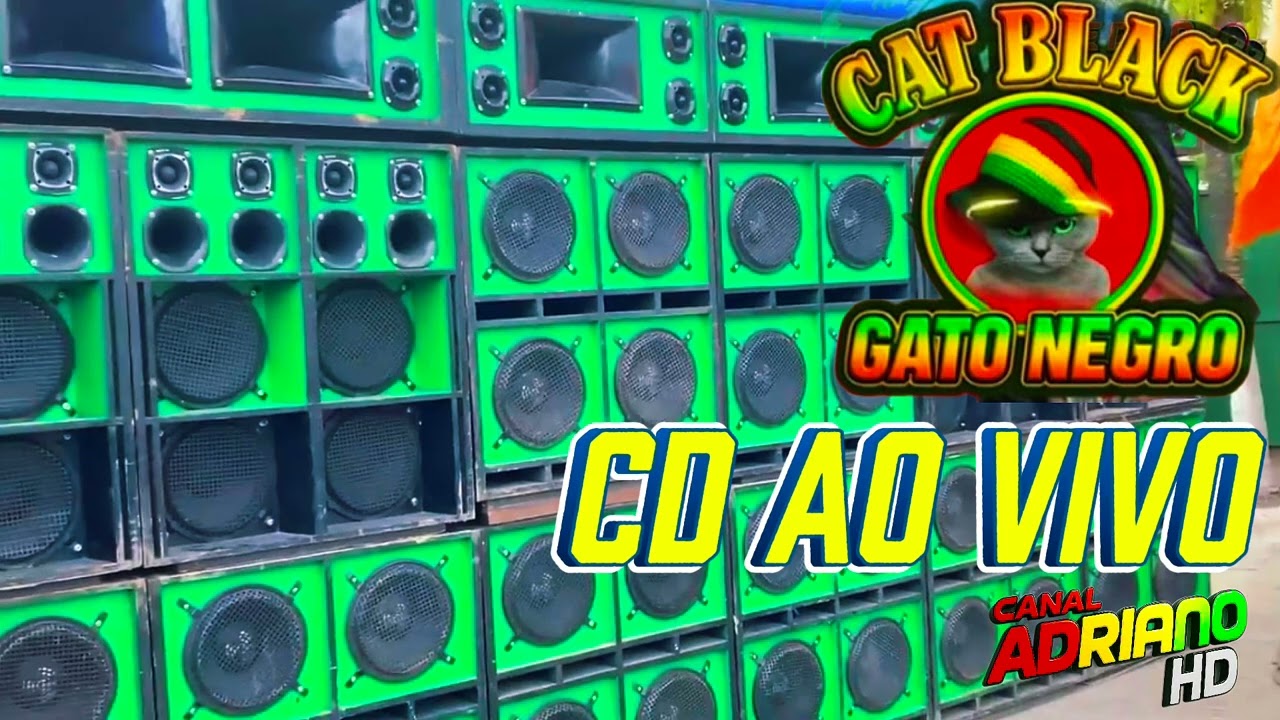 CD 💿 EXCLUSIVO - RADIOLA CAT BLACK O GATO NEGRO 🐈‍⬛- AO VIVO 2025 