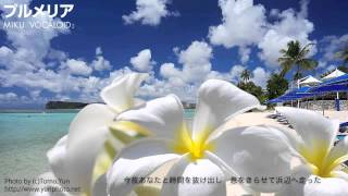 【vocaloidオリジナル曲】プルメリア【初音ミク】