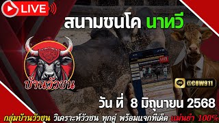 #ถ่ายทอดสดวัวชน สนามชนโคบ้านนาทวี 8/6/2568 #วัวชนวันนี้ #ดูวัวชนสด