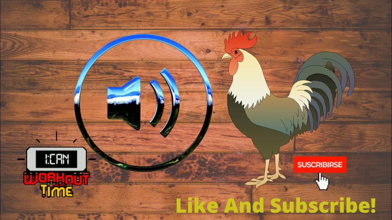 🐓Rooster Crowing 4 Sound Effect mp3 free Download [HD]🌞suara ayam