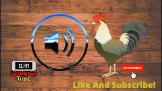 🐓Rooster Crowing #4 -Sound Effect mp3 free Download [HD]🌞suara ayam berkokok 2021
