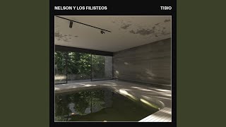 Video-Miniaturansicht von „Nelson y los Filisteos - 2000“