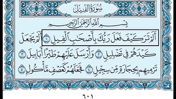 Saoud shuraim Al Fil - الشيخ سعود الشريم سورة الفيل