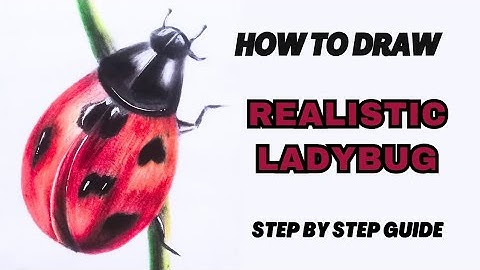 How to Draw Ladybug | Realistic Drawing | Step by Step Tutorial #ladybug 