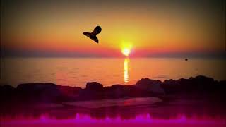 Ytpmv Good Mythical Shooting Stars No Bgm Reuploaded