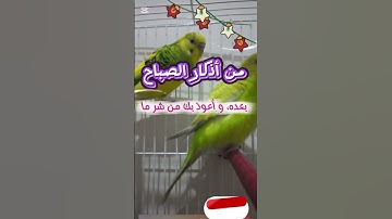 #اذكار_الصباح 💫 بداية يومك بذكر الله #راحة_القلب #كنوز #أدعية #أصوات_العصافير