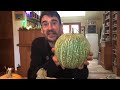 La différence entre une courge, une citrouille et un potiron.