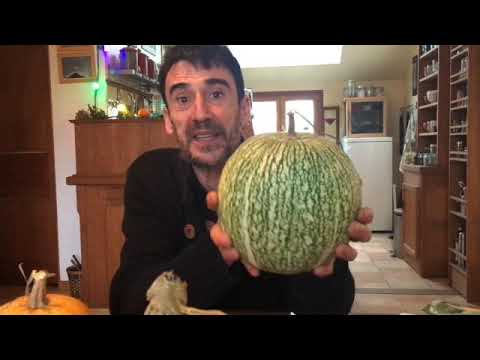 Vidéo: Qu'est-ce que la courge Calabaza : informations sur la culture des plantes de courge Calabaza