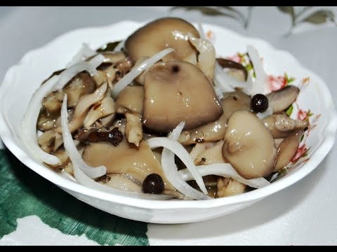 Маринованные вешенки лучший рецепт